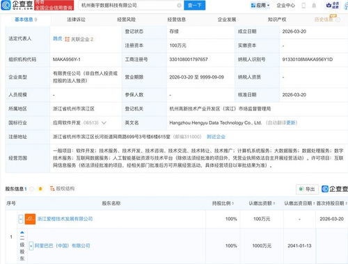 阿里新公司 在數據的深海中“提純”價值